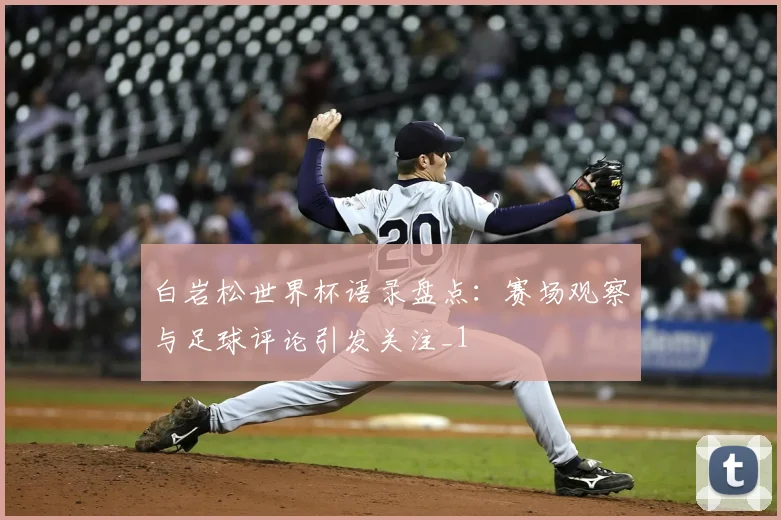 白岩松世界杯语录盘点:赛场观察与足球评论引发关注_1