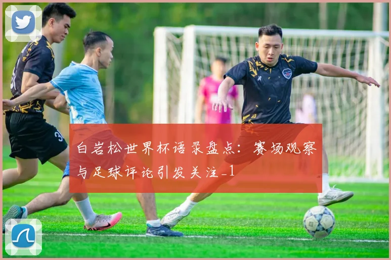 白岩松世界杯语录盘点:赛场观察与足球评论引发关注_1