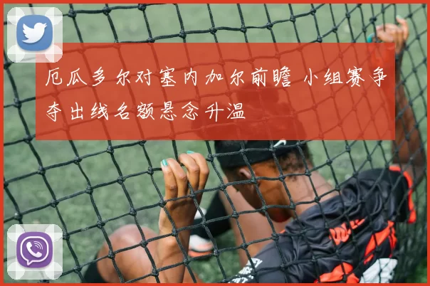 厄瓜多尔对塞内加尔前瞻 小组赛争夺出线名额悬念升温