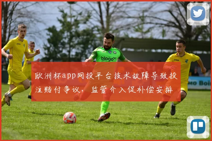欧洲杯app网投平台技术故障导致投注赔付争议，监管介入促补偿安排